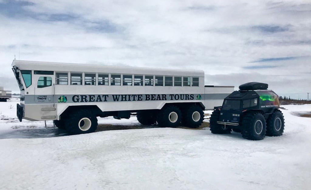 sherp_Great White Bear Tour 